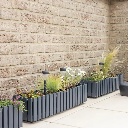 Apartment Amielie 9v Blankenberge